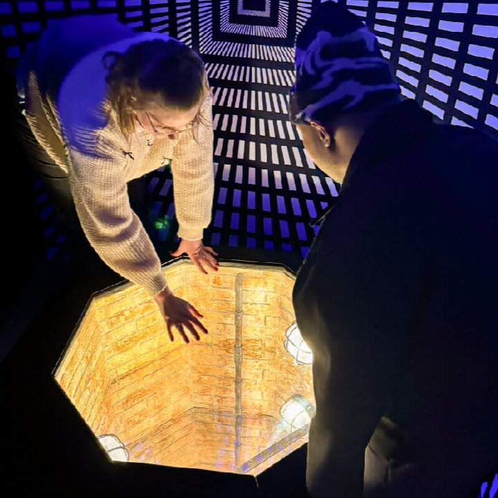 PHENOMENA: The Exhibition