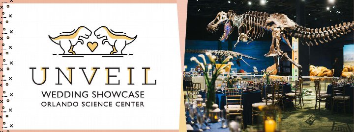 Unveil: A Wedding Showcase