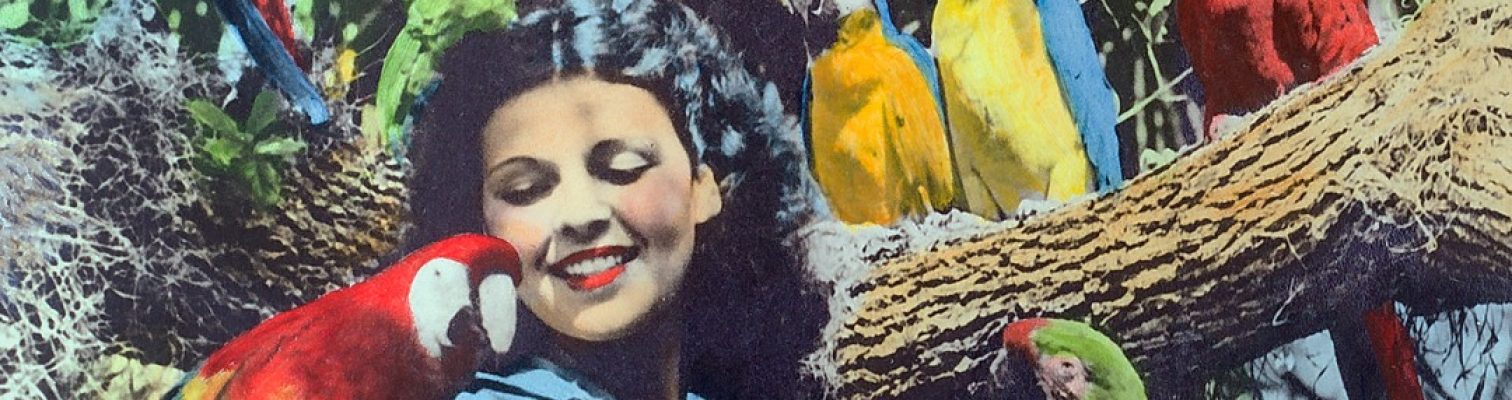FLORIDIANA: Vintage Treasures & Oddities from the Sunshine State