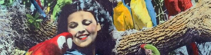 FLORIDIANA: Vintage Treasures & Oddities from the Sunshine State