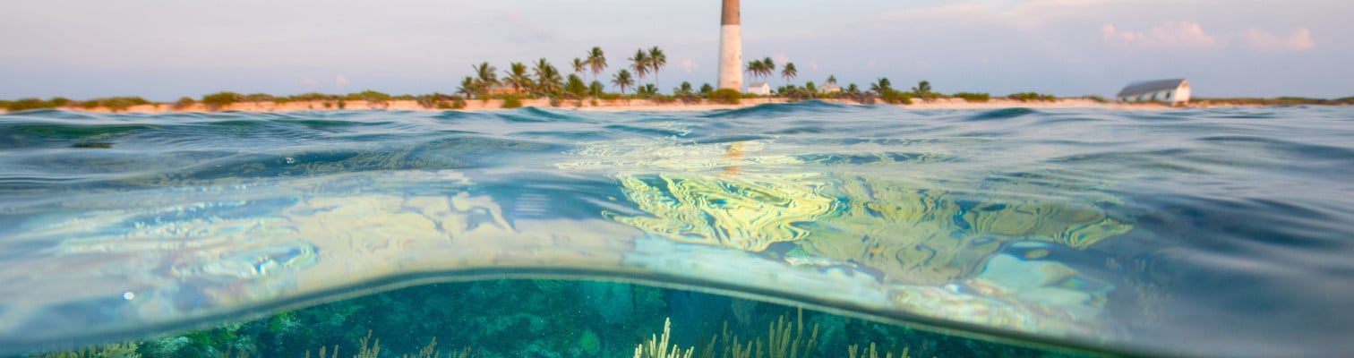 The Wild Path: Connecting the Florida We Don’t See Photographs by Carlton Ward Jr.
