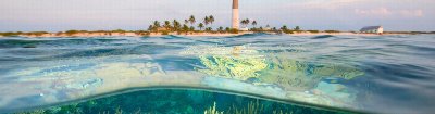 The Wild Path: Connecting the Florida We Don’t See Photographs by Carlton Ward Jr.