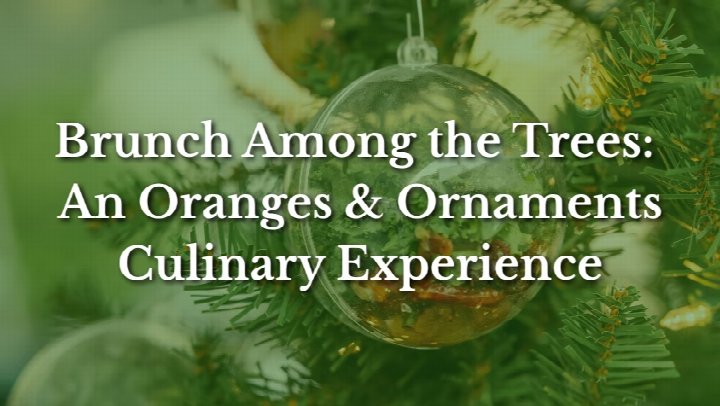 Brunch Among the Trees: An Oranges and Ornaments Culinary Experience