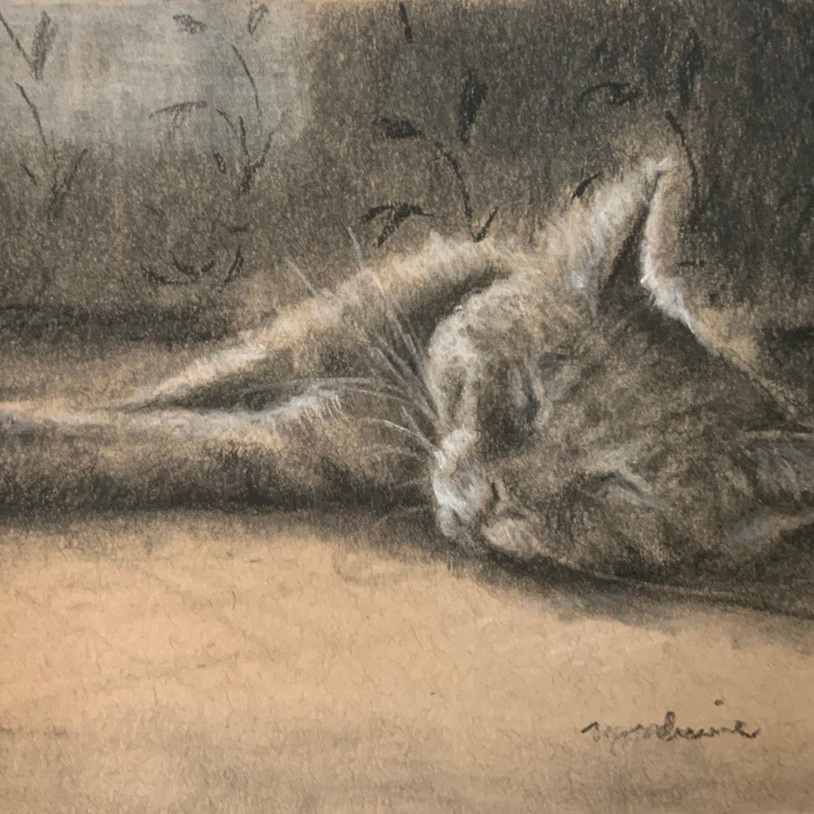 How to Draw Your Furry Friend