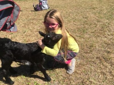 Wildflower Farm’s Fables on the Farm at Wildflower Farm Orlando — Oct 10, 2026