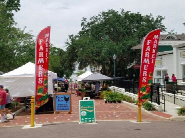 Longwood Farmers Market (Reiter Park)