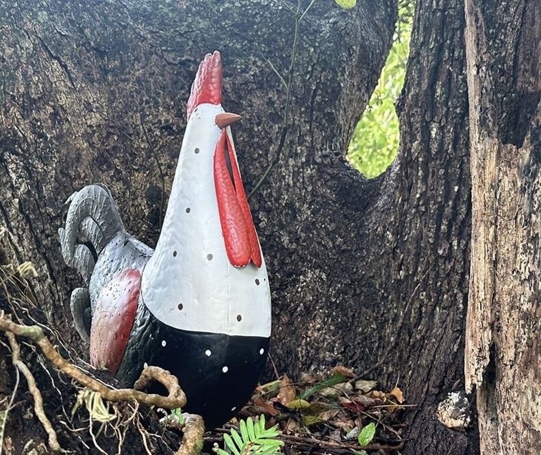 Leu Gardens Fall Into the Gardens and Chicken Hunt