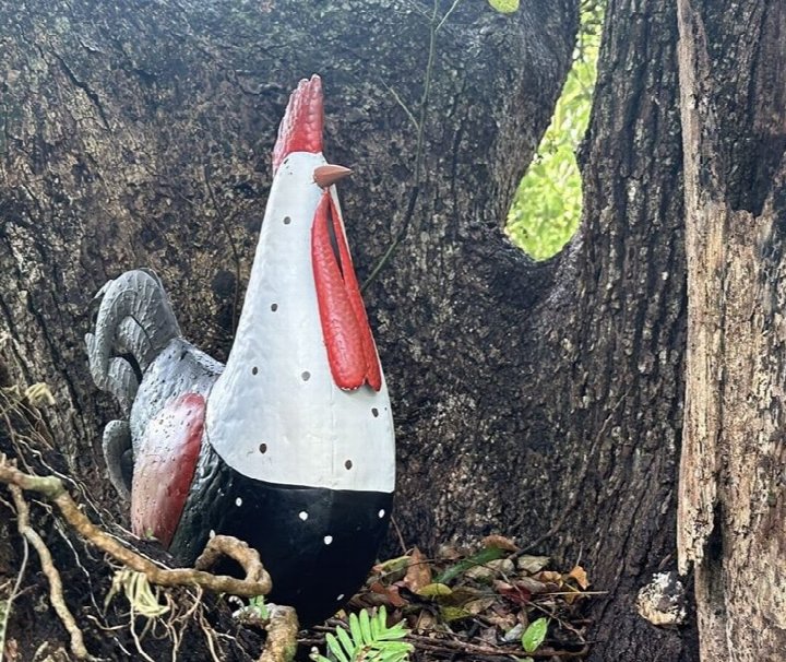 Leu Gardens Fall Into the Gardens and Chicken Hunt
