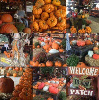Club Lake’s Annual Fall Festival 2026