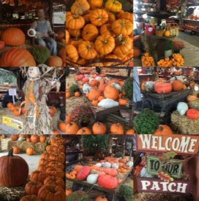 Club Lake’s Annual Fall Festival 2026 at Club Lake Plantation — Oct 10, 2026