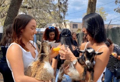 Alaska Farms Goat Cuddle Hour at Alaska Farms — Oct 12, 2026