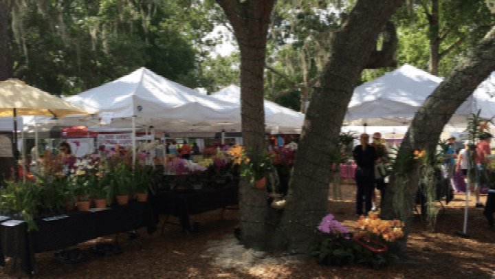 Windermere Farmers Market at Town Square Park