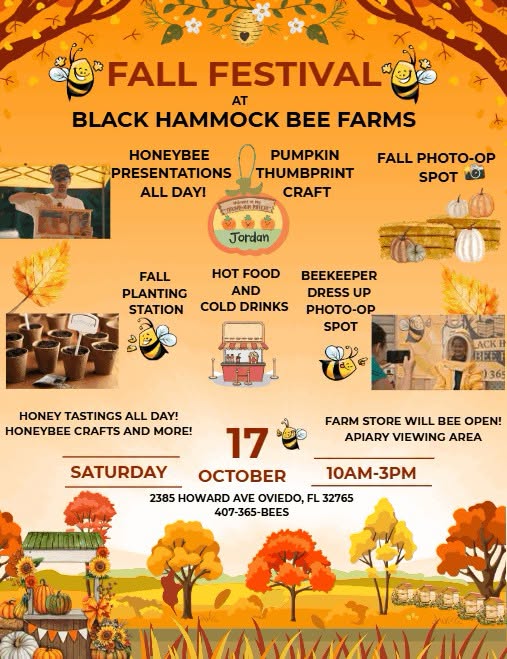 Fall Festival at Black Hammock Bee Farms