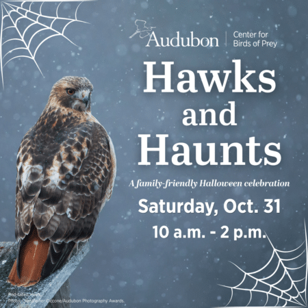Hawks and Haunts at Audubon Center for Birds of Prey