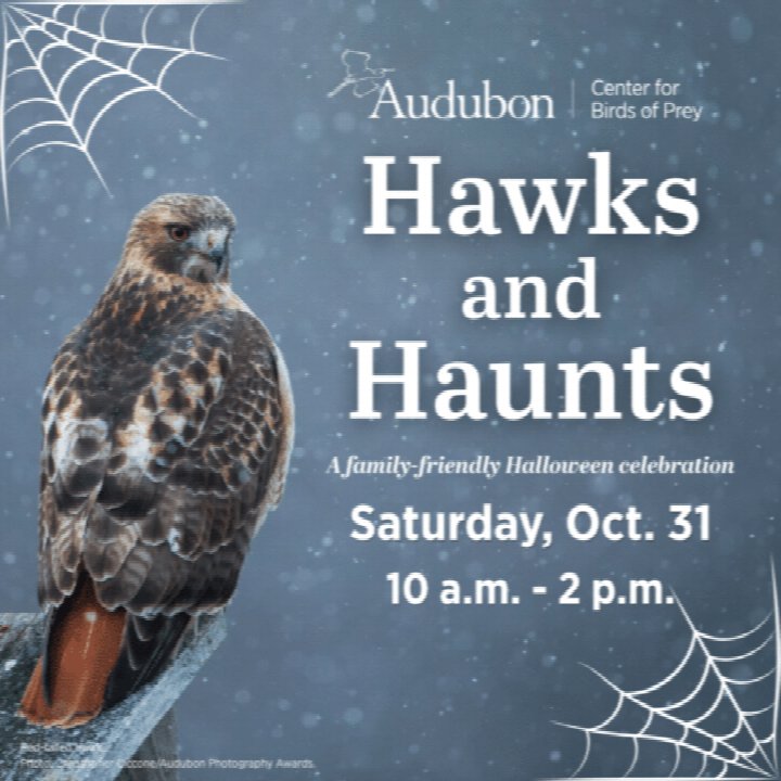 Hawks and Haunts at Audubon Center for Birds of Prey
