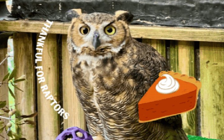 Owl Prowl at Audubon Center