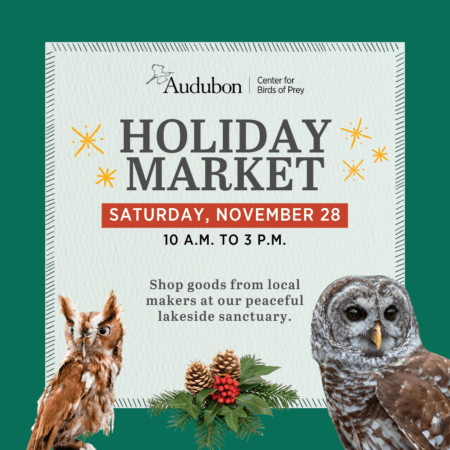 Holiday Market at Audubon Center for Birds of Prey