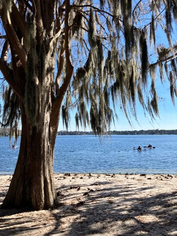 Dinky Dock — Winter Park in Orlando