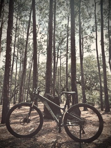 Moss Park in Orlando