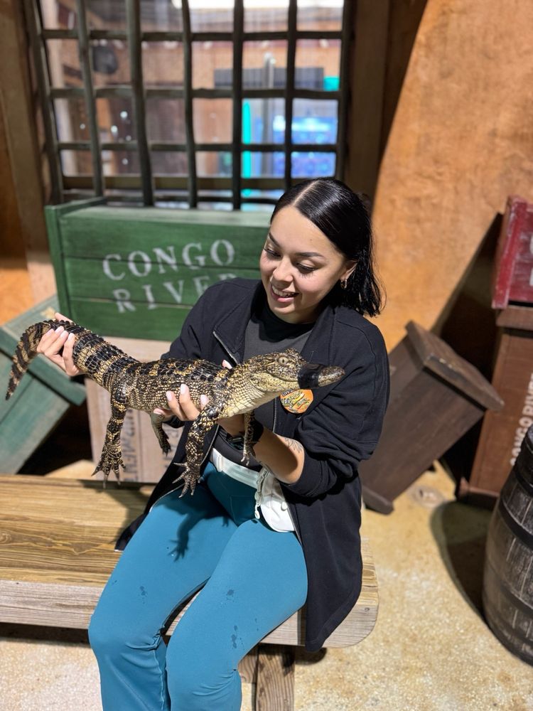 Congo River Golf