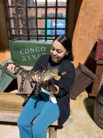 Congo River Golf - Mini Golf · Jungle Themed in Orlando