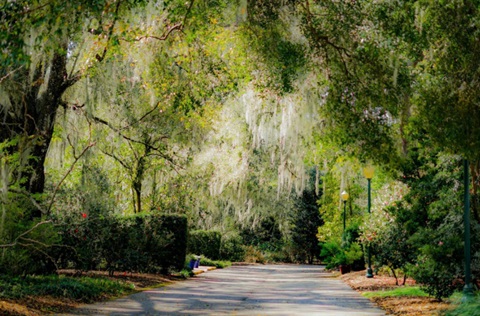 Harry P. Leu Gardens